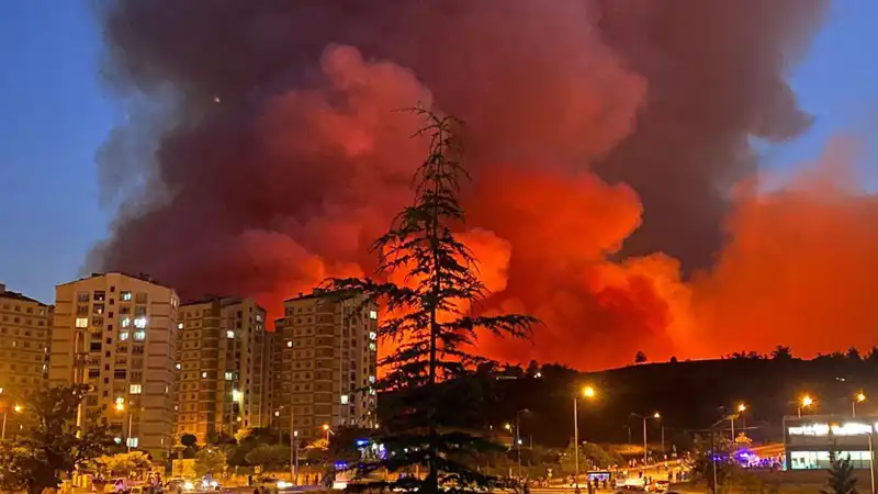 Bursa’da Çıkan Yangınlar Şehri Tehdit Ediyor: Nedenleri ve Son Durum
