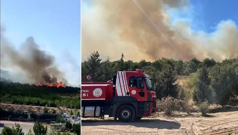 Gebze'de Orman Yangını: Doğanın Kalbinde Korkutan Gelişme!