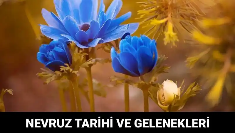 Nevruz Bayramı: Gelenekleri ve Kutlama Tarihleriyle Baharın Müjdecisi