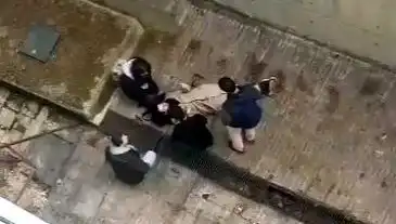 Kampüsde Köpek Paniği: Düşen Öğrencinin Durumu Merak Ediliyor