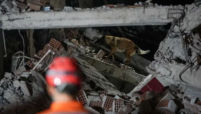 Sındırgı'da Deprem Artçıları Kapımıza Kadar Geldi: 100'ü Aştı!