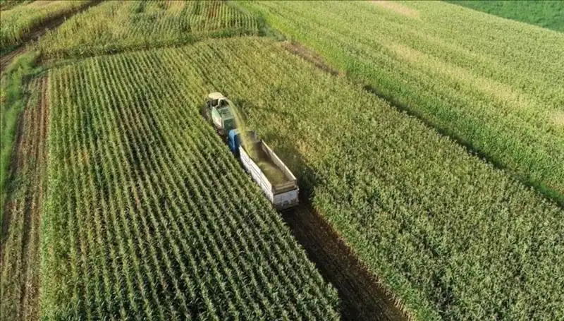 2025 Mazot ve Gübre Desteği Ödemeleri: Son Durum ve Tarihler!