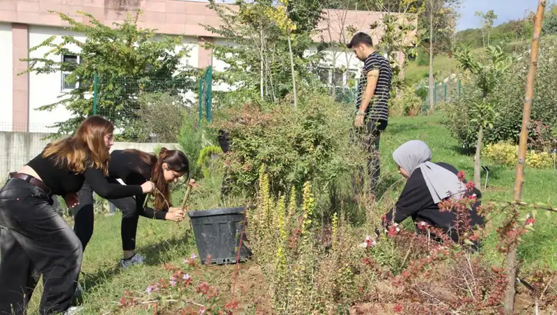 Düzce'den Dünyaya Açılan Kapı: Hayaller Gerçek Oldu
