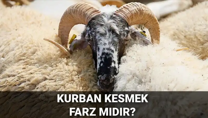 Kurban Kesmek Farz mı? Diyanet'ten Hüküm ve Şartlar