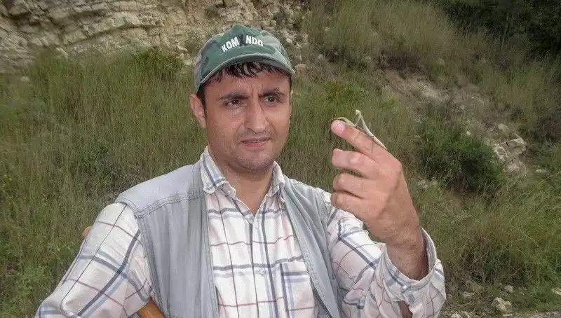 Yeni Keşfedilen Böcek Türü, Bilim Adamının Eşinin İsmiyle Anılıyor!
