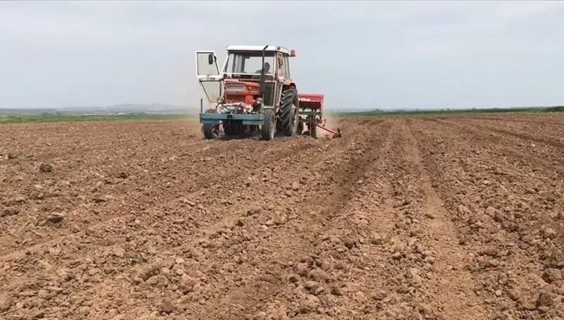 Son 35 Yılın En Kurak Mart Ayı: Yağışlar Tüm Ülkede Düşüyor